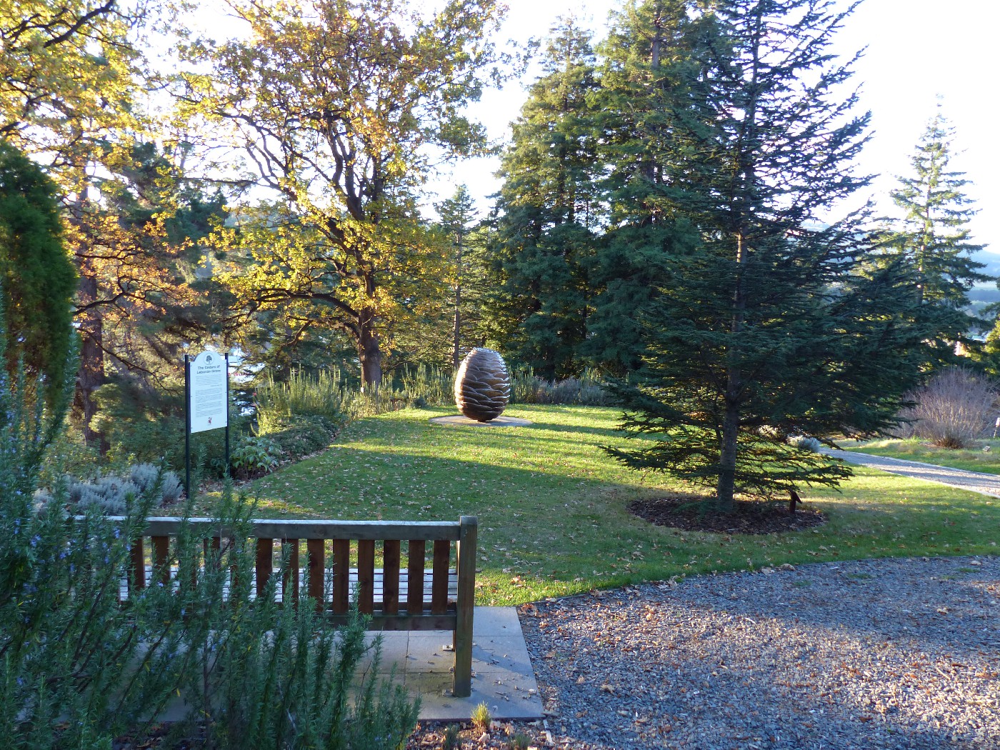 The Cedars of Lebanon Grove.
https://dunedin.recollect.co.nz/nodes/view/200091