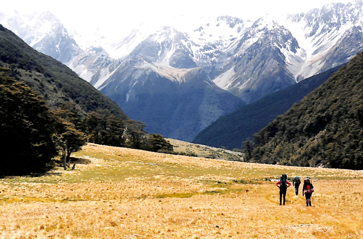 SAREX on the Rees Dart