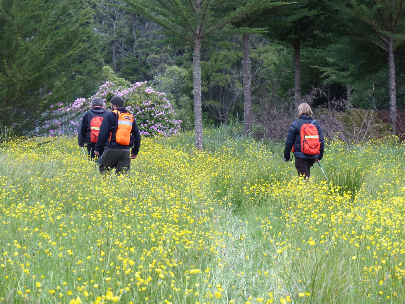 Dunedin LandSAR Tracking Team