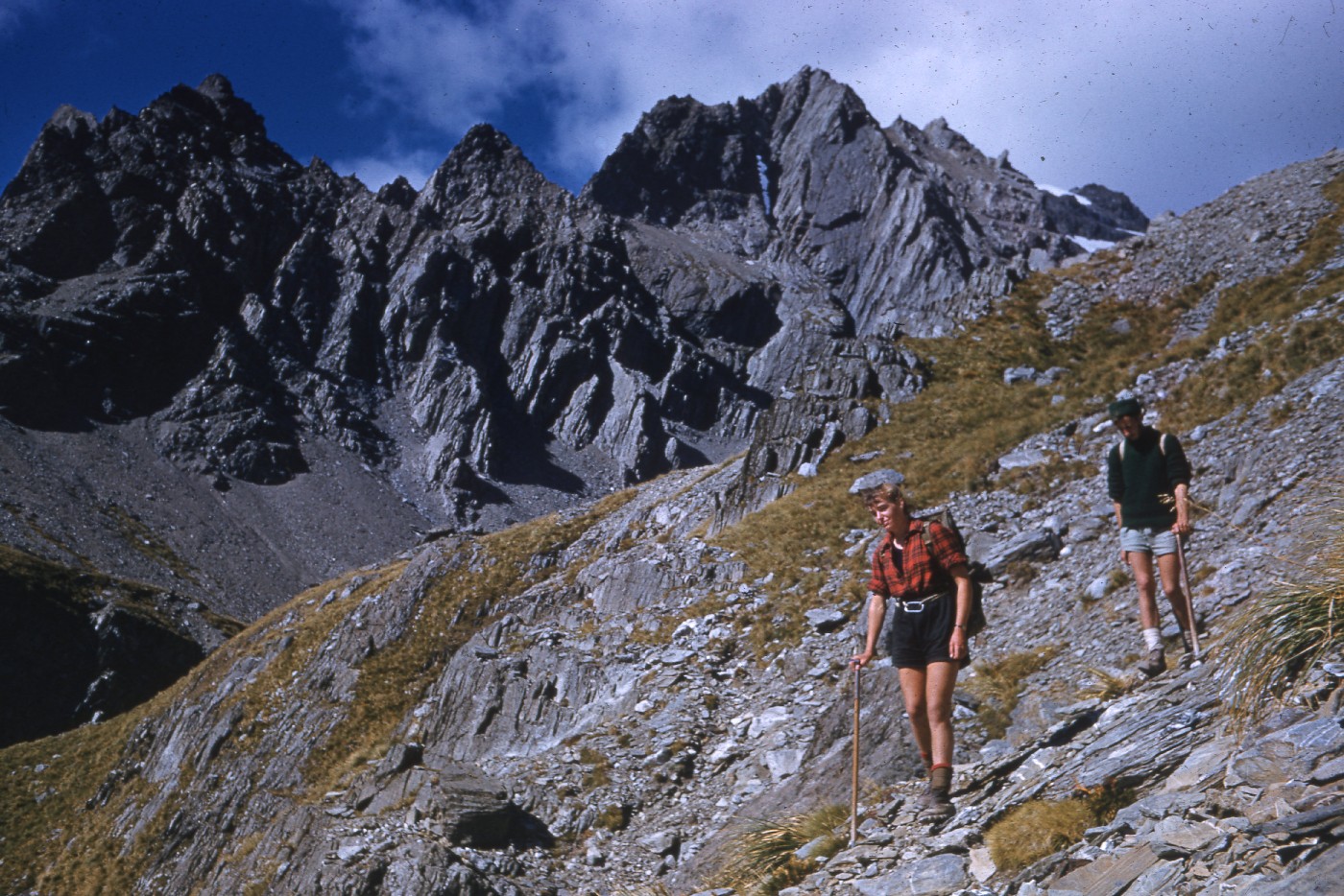 Alpine trip into the Hopkins river area