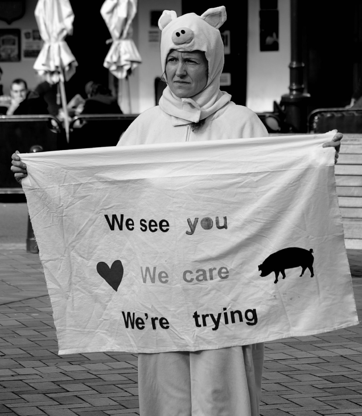 Stop factory farming!
