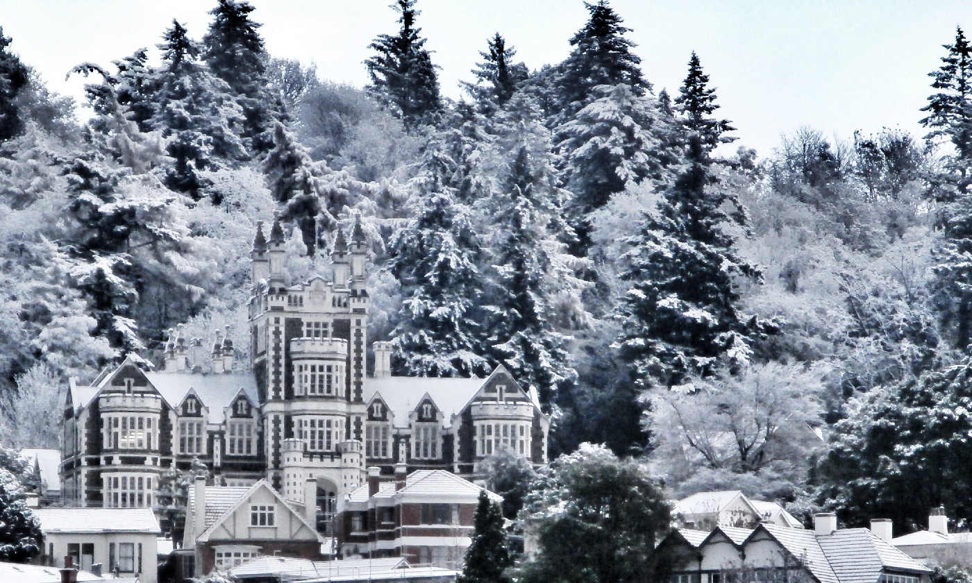 Photo credit: Paul S Allen