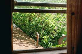 Words from the Childhood Home