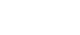 dunedin logo